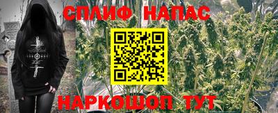 спайс Краснодар