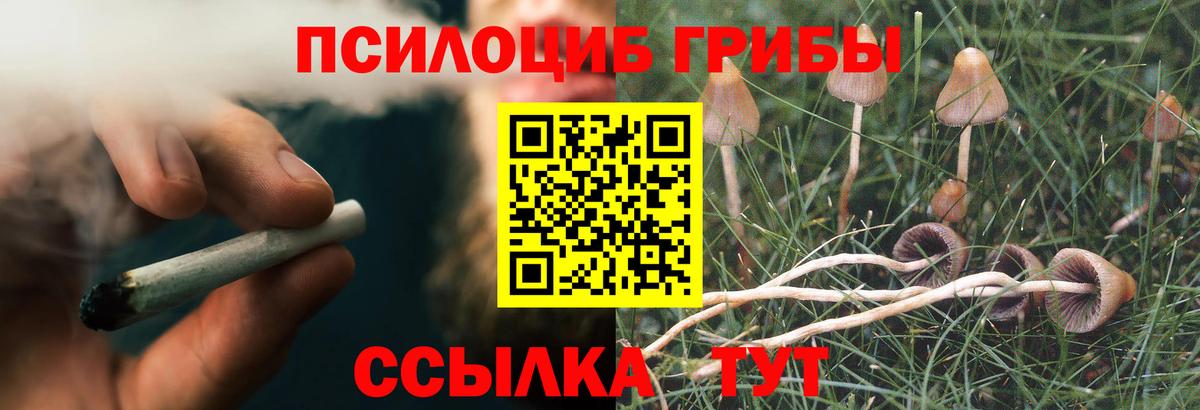 Галлюциногенные грибы прущие грибы  Вход с VPN  Унеча 